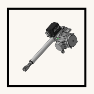 Husillo de Bolas - BSA - CLB – UBA